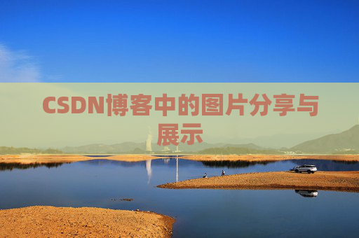 CSDN博客中的图片分享与展示